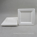 Bagasse Rectangular Plate Biodegradable Disposable Plate